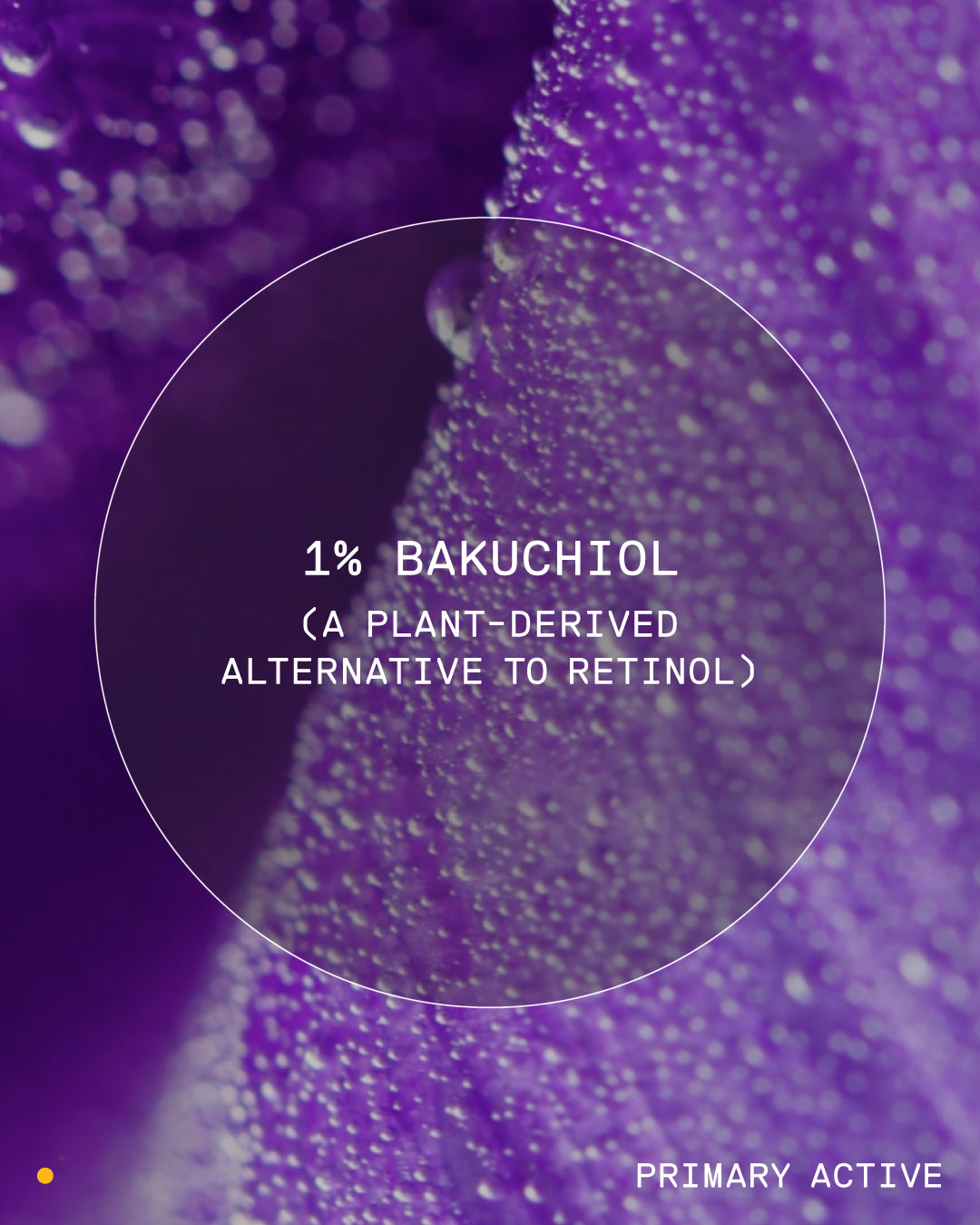 VENN Retinal Infusion MLV10 Serum