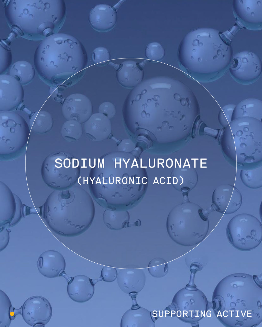 VENN Retinal Infusion MLV10 Serum