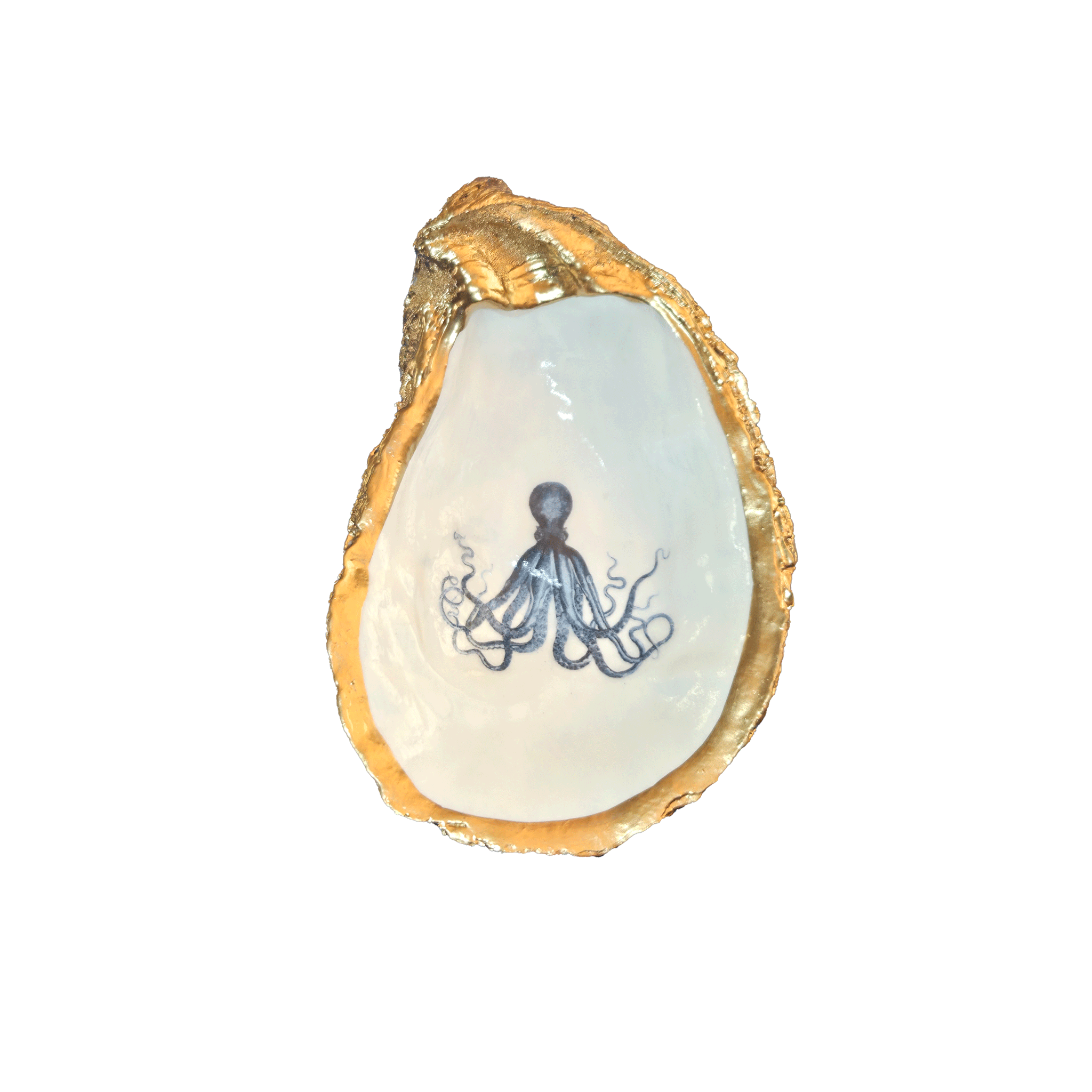 Decorative shell with an octopus design on a white background