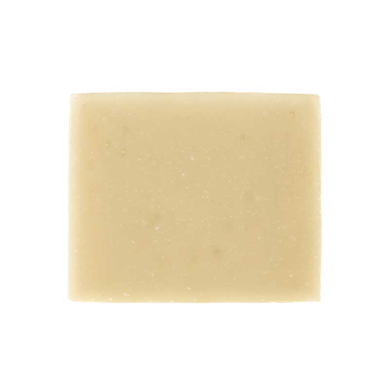 Christophe Robin Hydrating shampoo bar with aloe vera