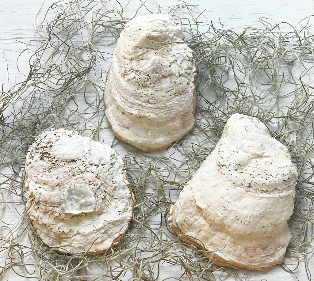 ALISON BROOKE DESIGNS French Hydrangea Oyster Trinket Dish