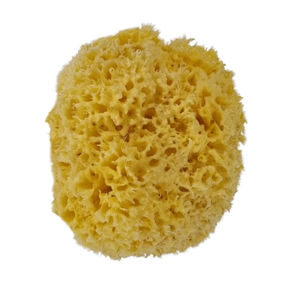 The NATIVES Co. Premium Honeycomb Sea Sponge - Large