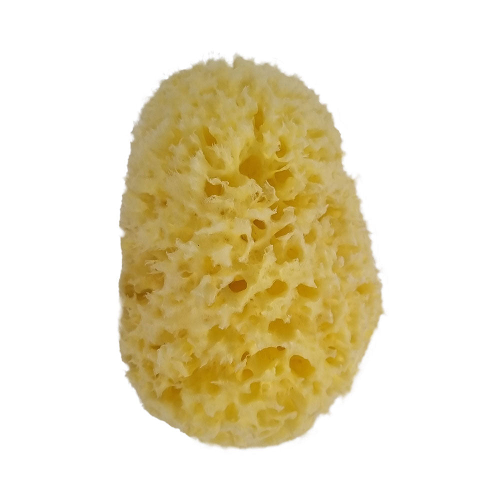 The NATIVES Co. Premium Honeycomb Sea Sponge - Medium