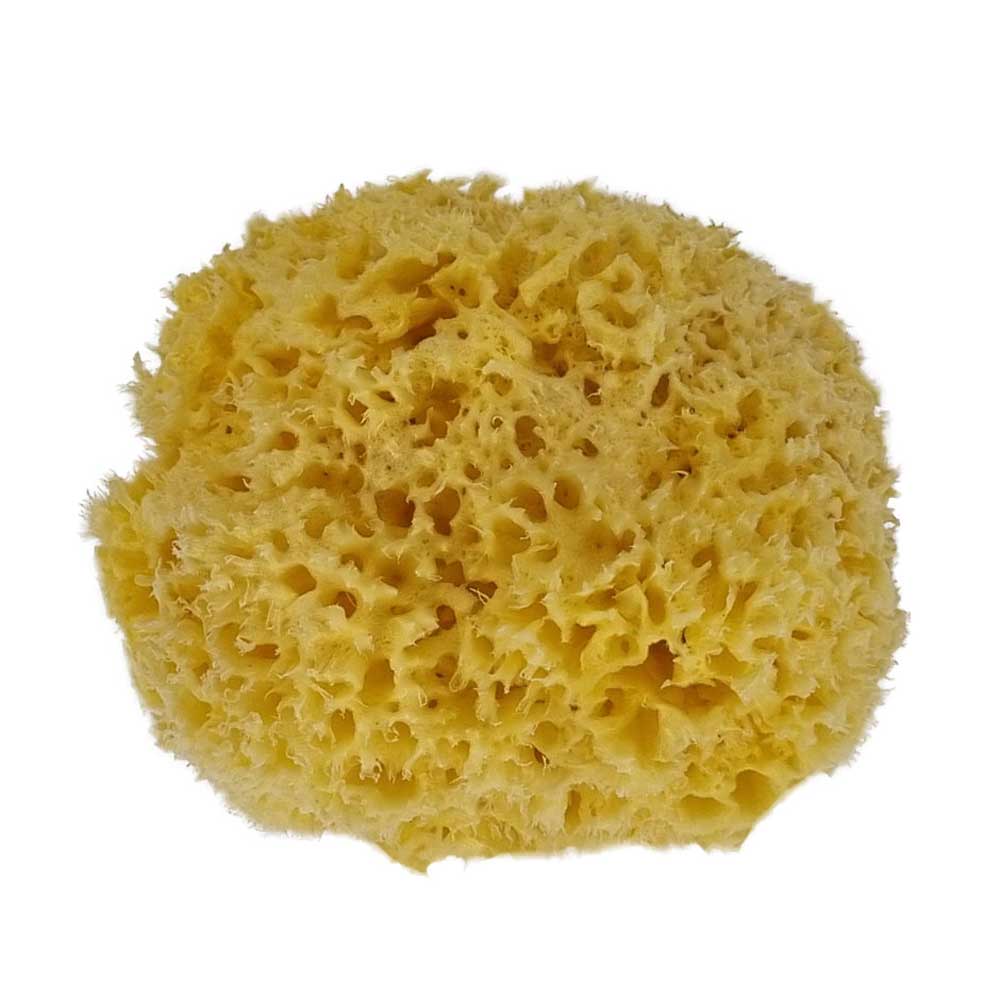 The NATIVES Co. Premium Honeycomb Sea Sponge - Large