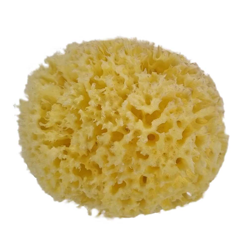 The NATIVES Co. Premium Honeycomb Sea Sponge - Medium