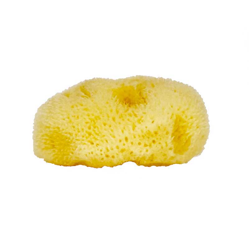 The NATIVES Co. Facial Fina Silk Natural Sea Sponge