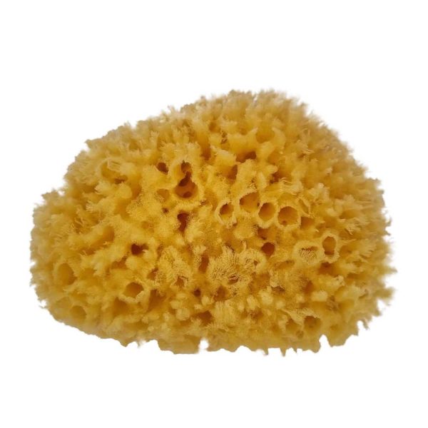 The NATIVES Co.<p> Natural Grass Sea Sponge