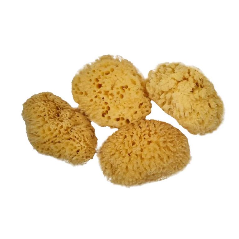 Natural Sea Sponges - Sponges & Loofahs | The NATIVES CO.