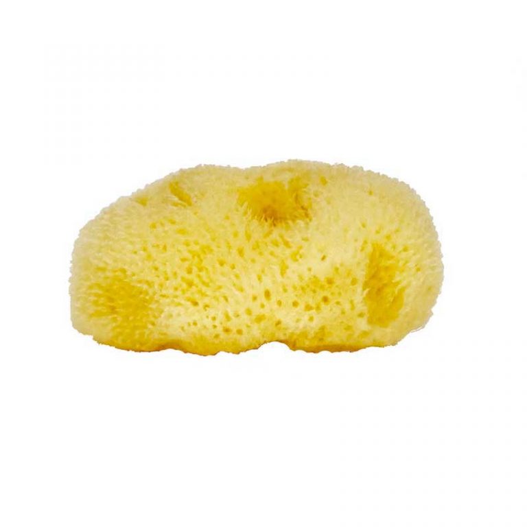 The NATIVES Co. Premium Natural Sea Sponge - The NATIVES Co.